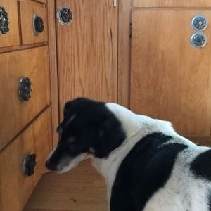 Meet your Posher, Kathy